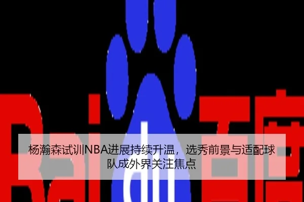 杨瀚森试训NBA进展持续升温，选秀前景与适配球队成外界关注焦点